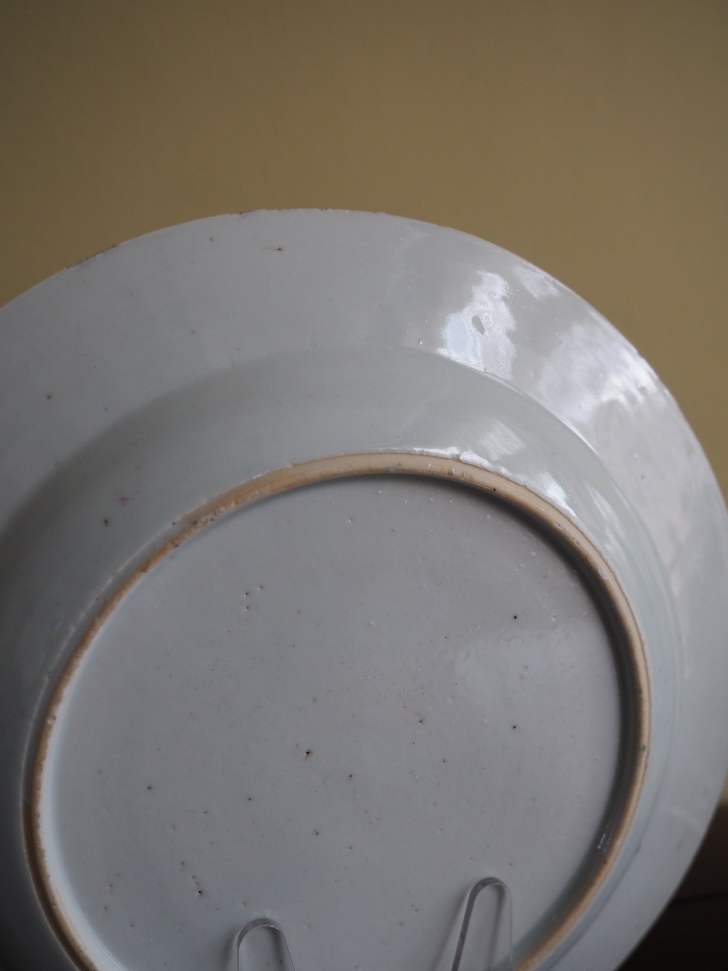 Pair of 18th Century Chinese Famille Rose Plates
