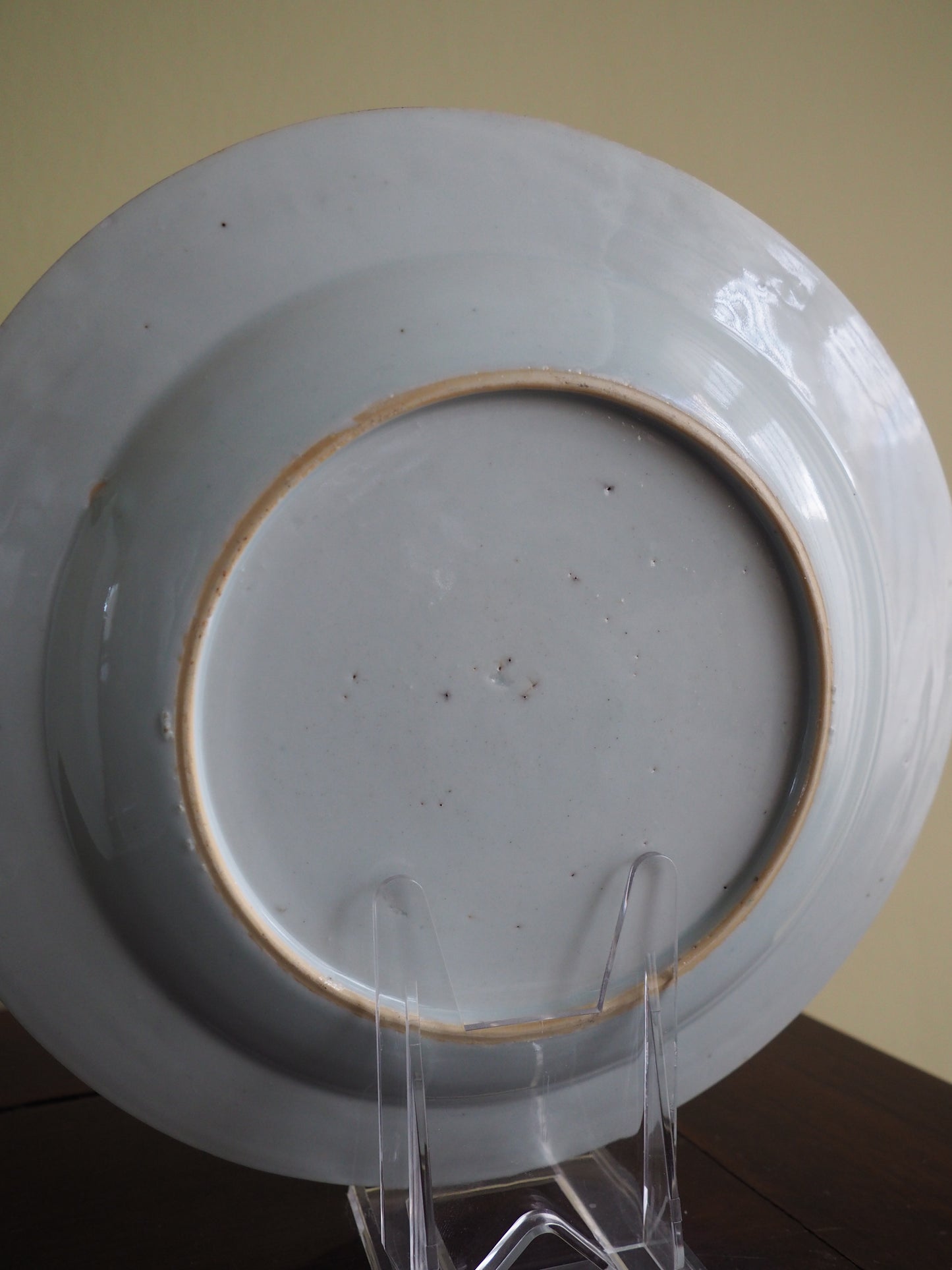 Pair of 18th Century Chinese Famille Rose Plates
