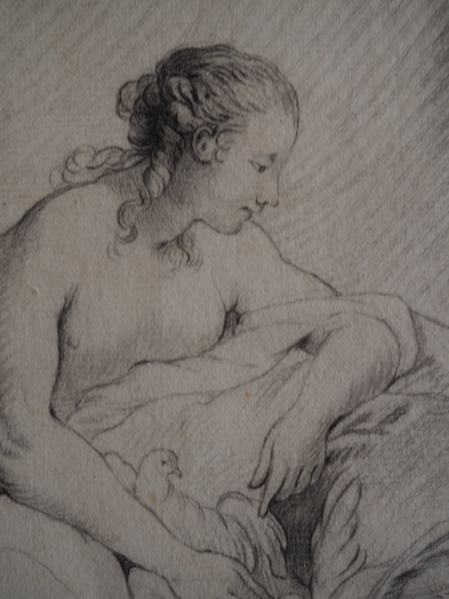 18th Century French School – Venus with Doves