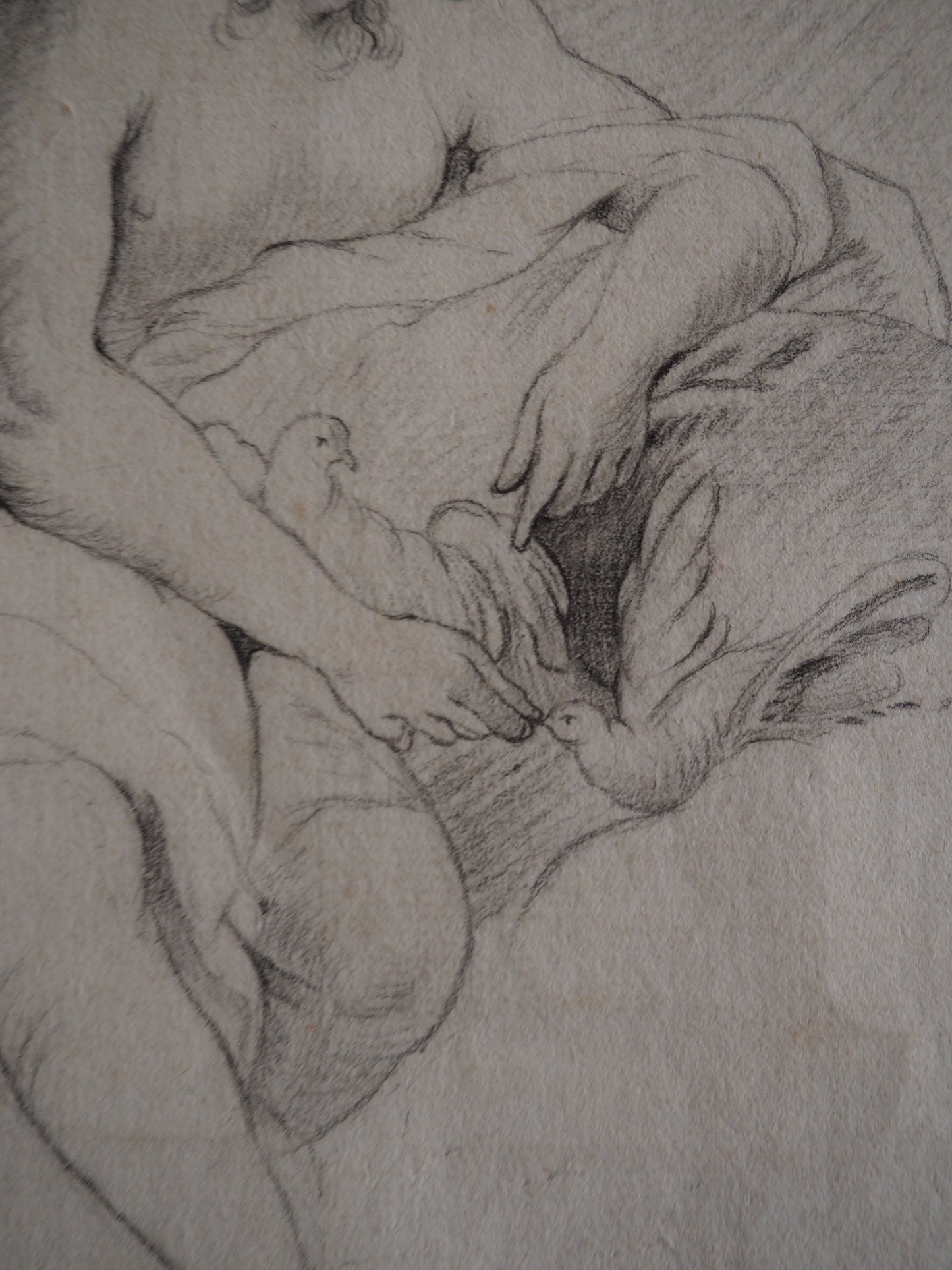 18th Century French School – Venus with Doves