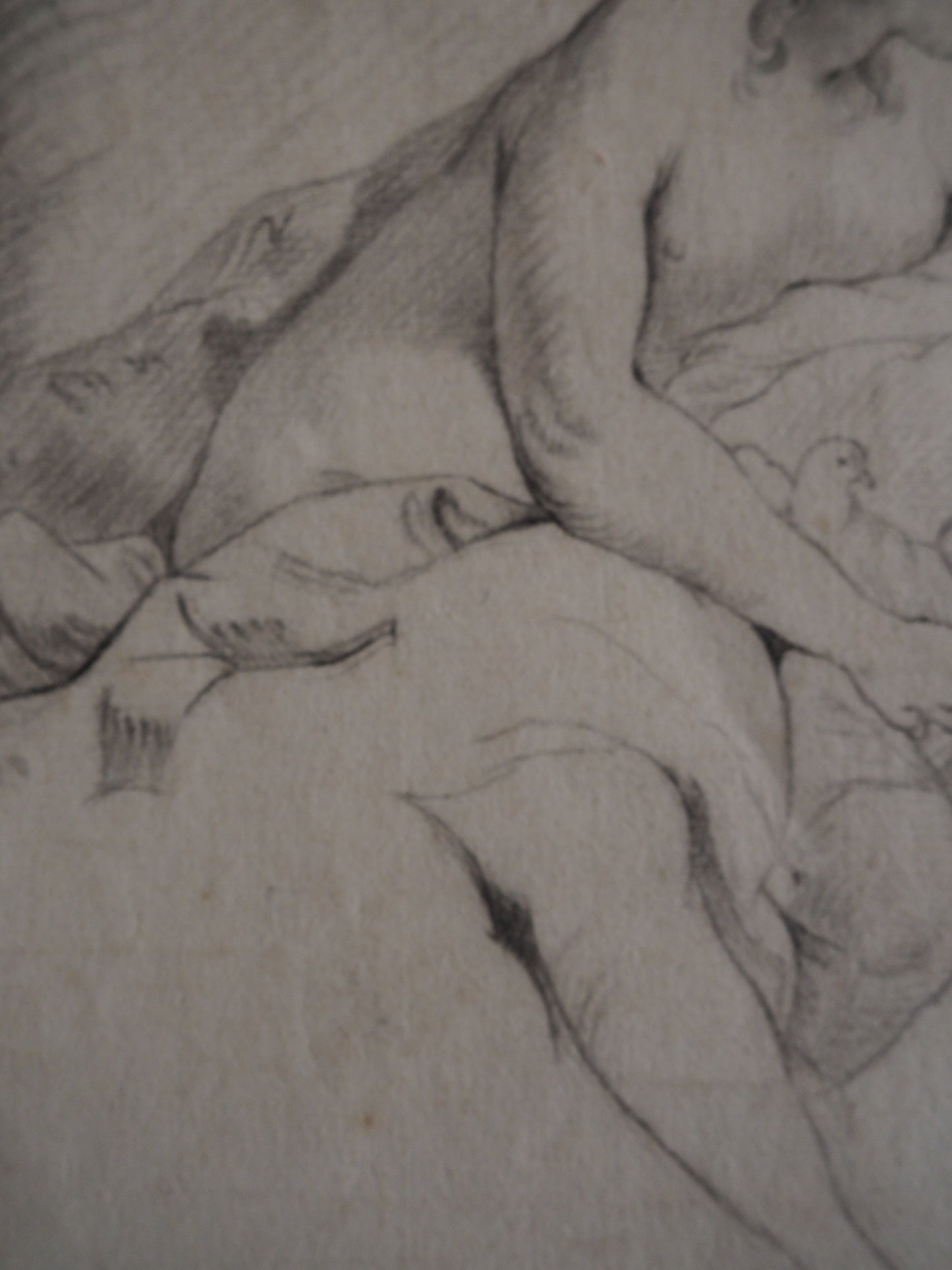 18th Century French School – Venus with Doves