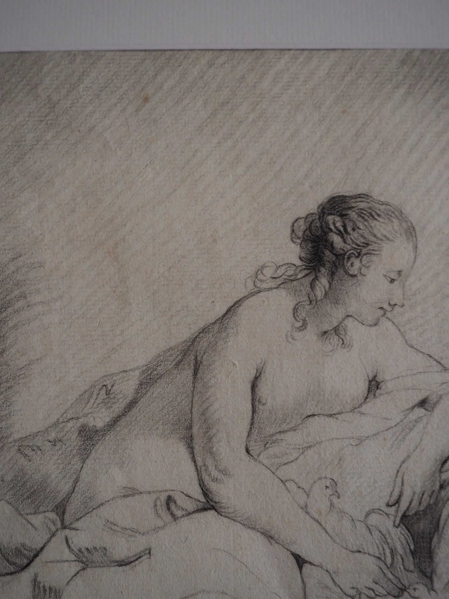 18th Century French School – Venus with Doves