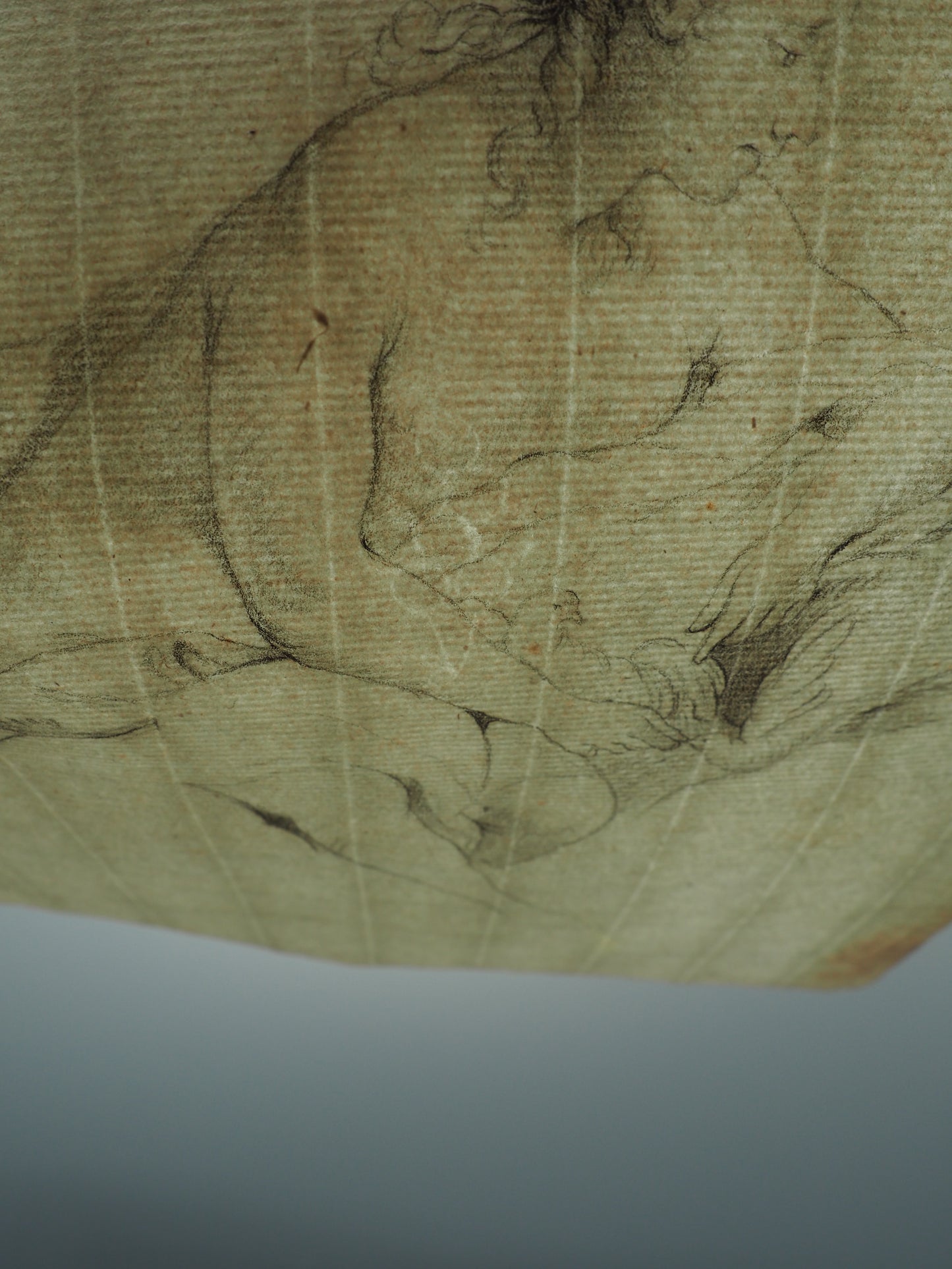 18th Century French School – Venus with Doves