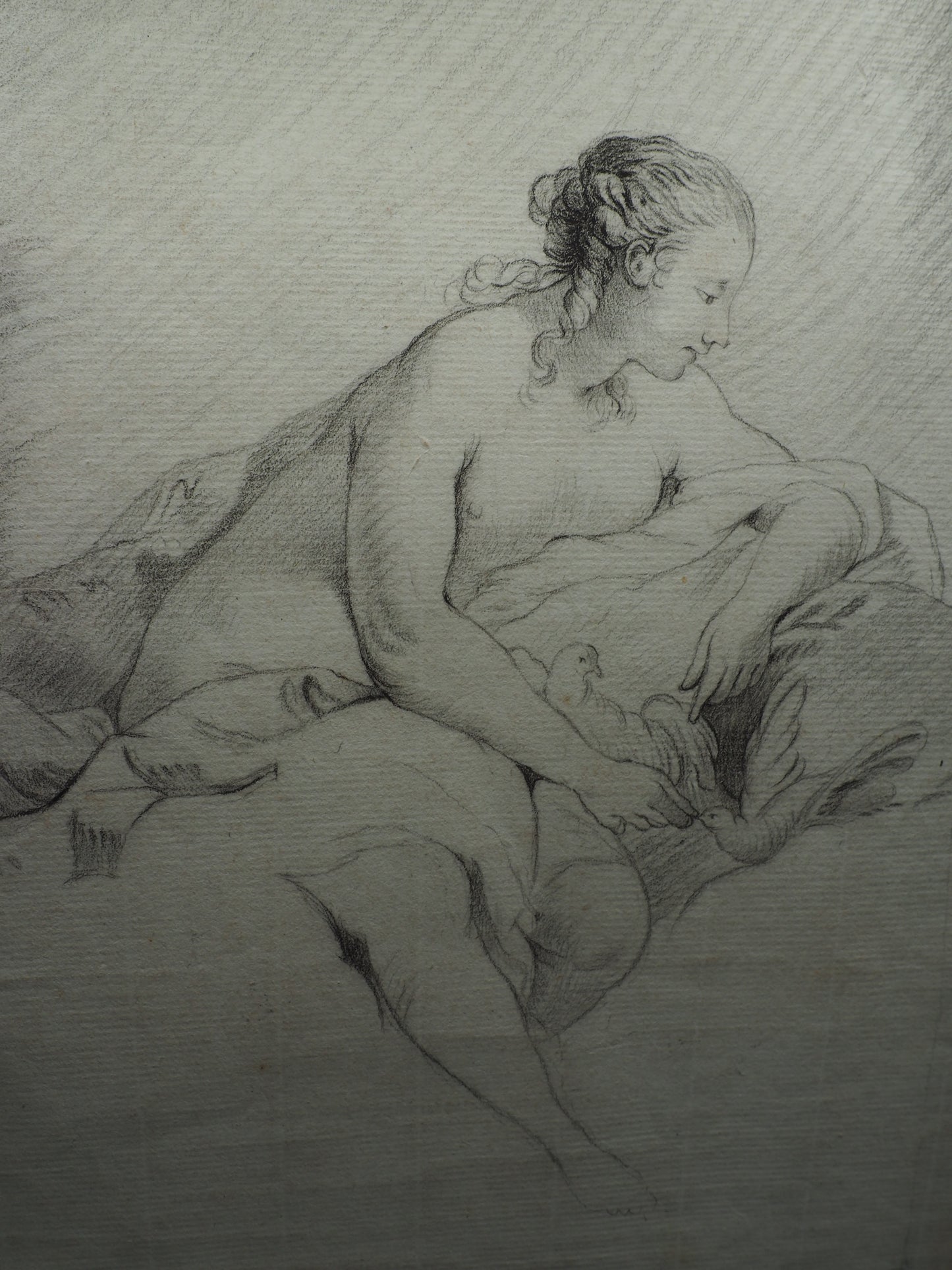 18th Century French School – Venus with Doves